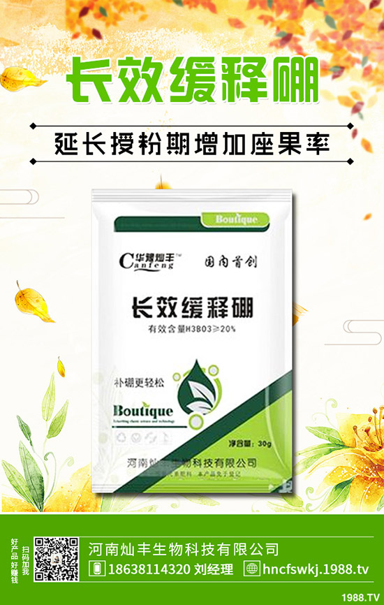 ���X�ݺ��~�X����ʲô��ͬ�����X�ݺ��~�X�ݵą^(q��)�e��Щ��