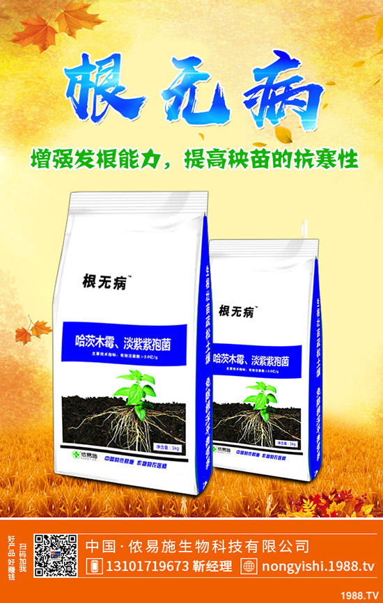     �����ǟ���߀�Ǜ������c������˵�ʳ������Щ��