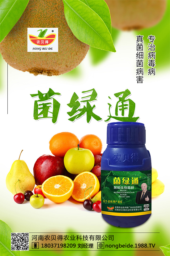 С��������_�x�N����֪������x�N�Ŀ��@����