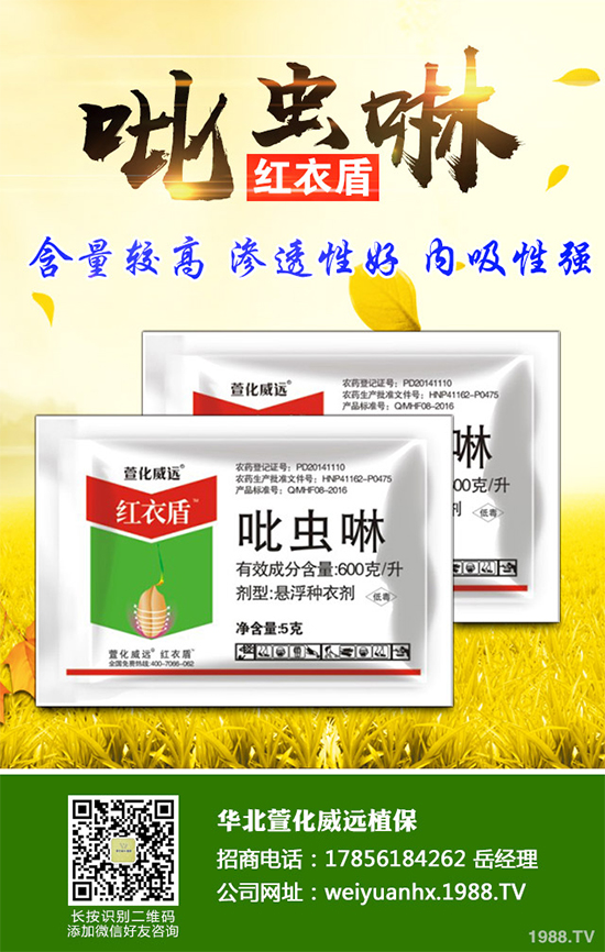 �����皢�x���r��