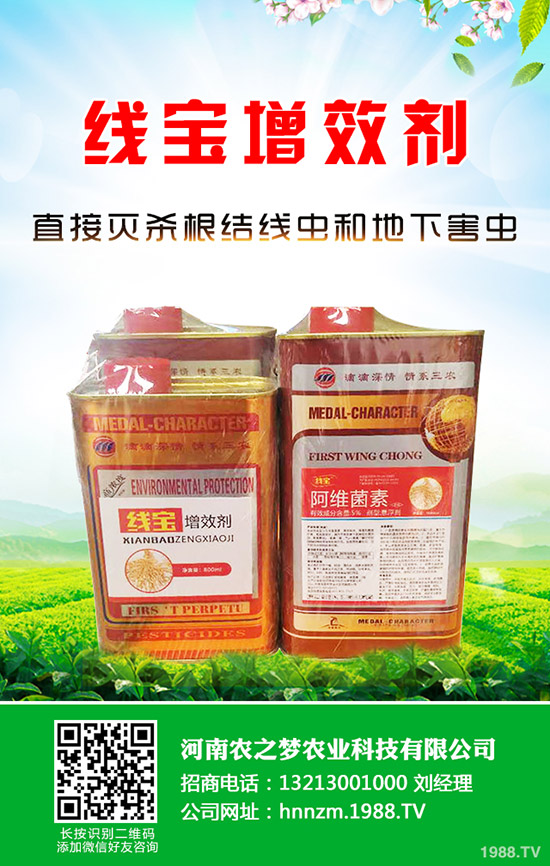 �۲˰l(f��)ѿ����ν�Q���۲˵Ĵ�ѿС������