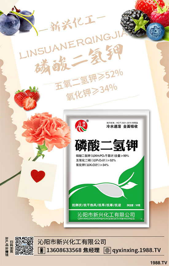 ���[�B��Σ����������ԓ��ν�Q�����[�B���ϵK���߮a�������g��