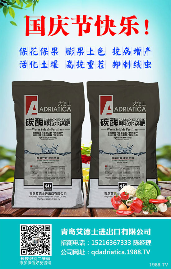 ���[�B��Σ����������ԓ��ν�Q�����[�B���ϵK���߮a�������g��