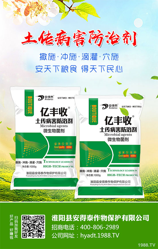 ���}���Ĺ�Ч�c���������}���I�B(y��ng)�r(ji��)ֵ��