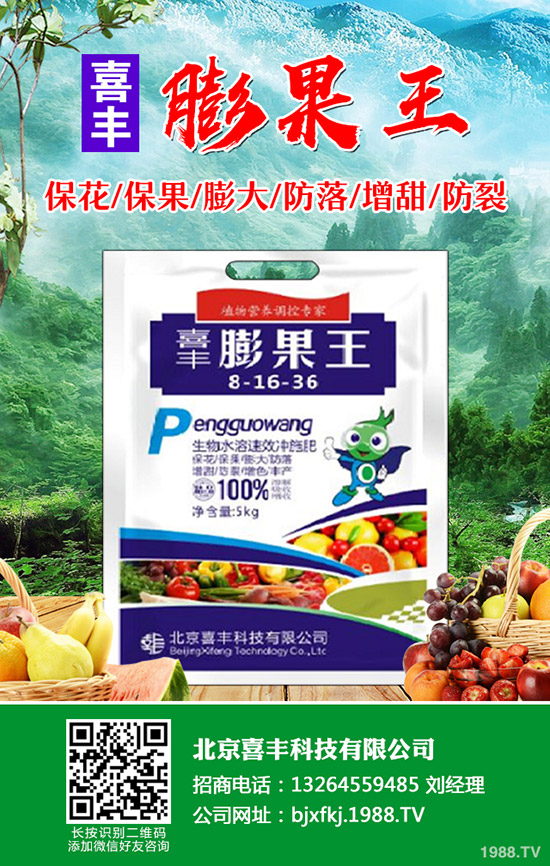 芹菜發(fā)芽慢怎么辦,芹菜催芽方法有哪些?