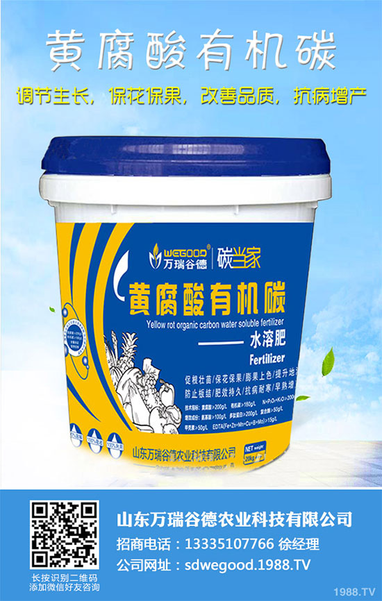 С�ײ�ʲô�r(sh��)��Nֲ��С�ײ˸߮a(ch��n)�Nֲ���g(sh��)