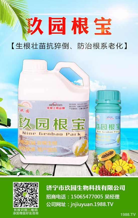 �������x��η����������x��Σ�����l(f��)��Ҏ(gu��)����