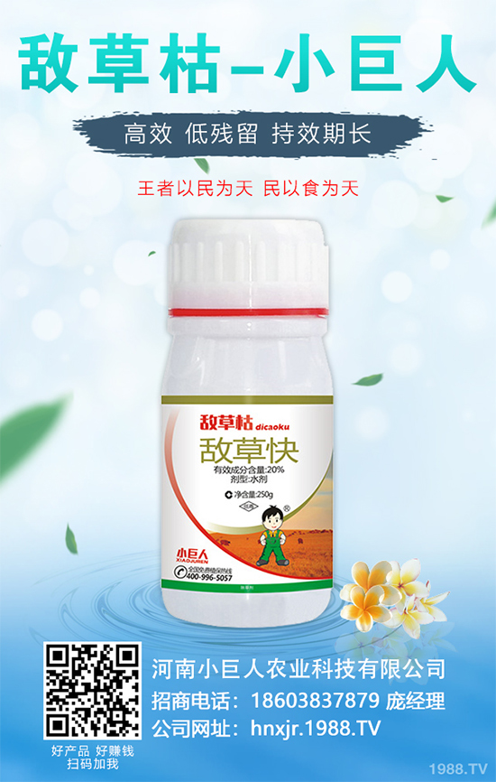 ���y���ķNֲ���g��2020����y���Nֲǰ������