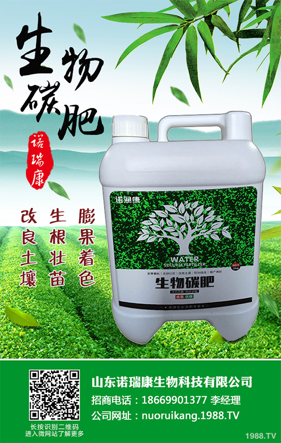 ����������ԓ��ô�N�������@���c(di��n)���p�ɷN�������ˣ�