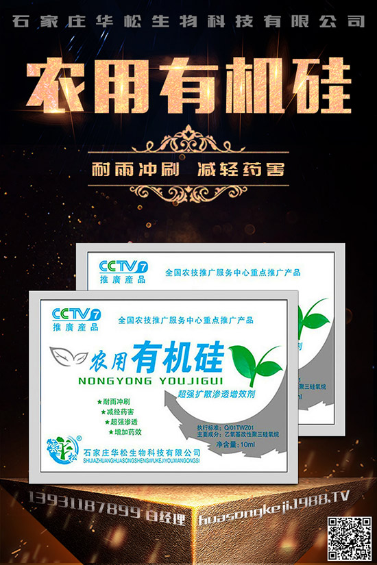 �۲˿��ĵ�ԭ����ʲô������A���۲˿�����