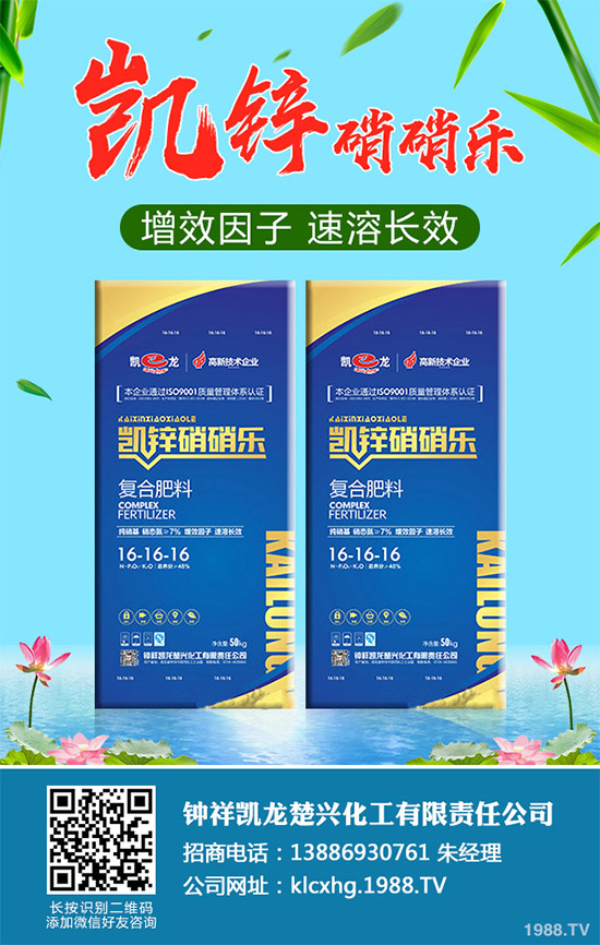 �����˰׷۲�����ЩΣ���������������������˰׷۲��ķ��δ�ʩ