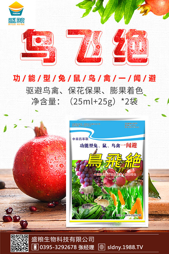 �������t������ڷۣ��������t���ڷ۷�������Щ��