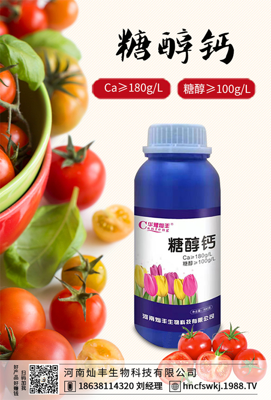 ���{���ݲ����u������ԓ��η��������{���ݲ����δ�ʩ