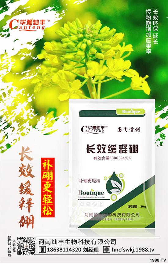 ���{���ݲ����u������ԓ��η��������{���ݲ����δ�ʩ