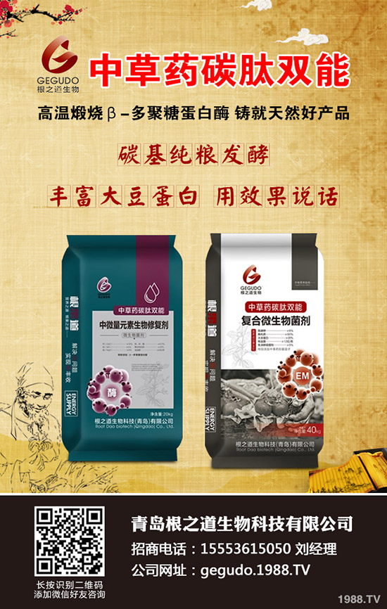     ���ص����ɱ�����2019��11����(n��i)�����Ј������߄��A(y��)�y��