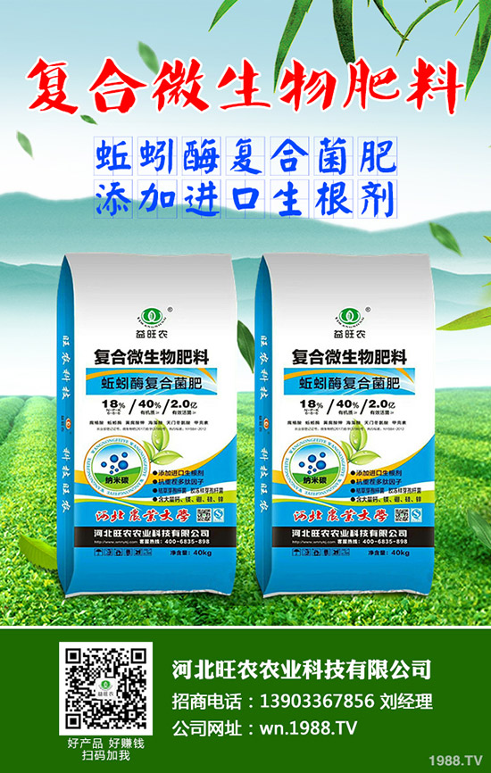 復(fù)合肥需求小幅增加！今日復(fù)合肥產(chǎn)地批發(fā)價格行情2019-11-14