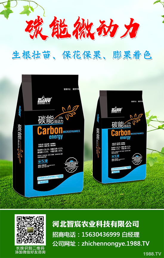 ���������߲˷Nֲԓע��ʲô����ӛ�e�M(j��n)�@�����`�^(q��)