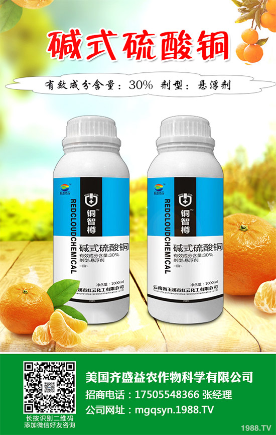     �O���������r(ji��)��