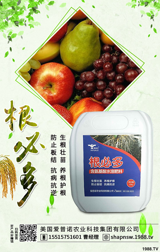 ������ô�������ܸ߮a(ch��n)�����Ӹ߮a(ch��n)�ߴ������ʩ