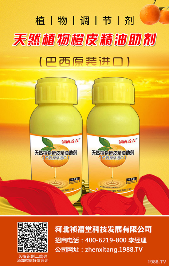 ��픿����ô�Nֲ����β��ܸ߮a(ch��n)���գ�