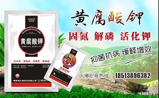 �VԴ�S����⛡�����Ʒ����1����=8���ЙC(j��)�����½�Դ�^ֱ�l(f��)������