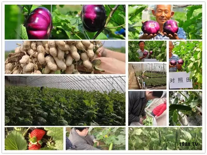 �VԴ�S����⛡�����Ʒ����1����=8���ЙC(j��)�����½�Դ�^ֱ�l(f��)������