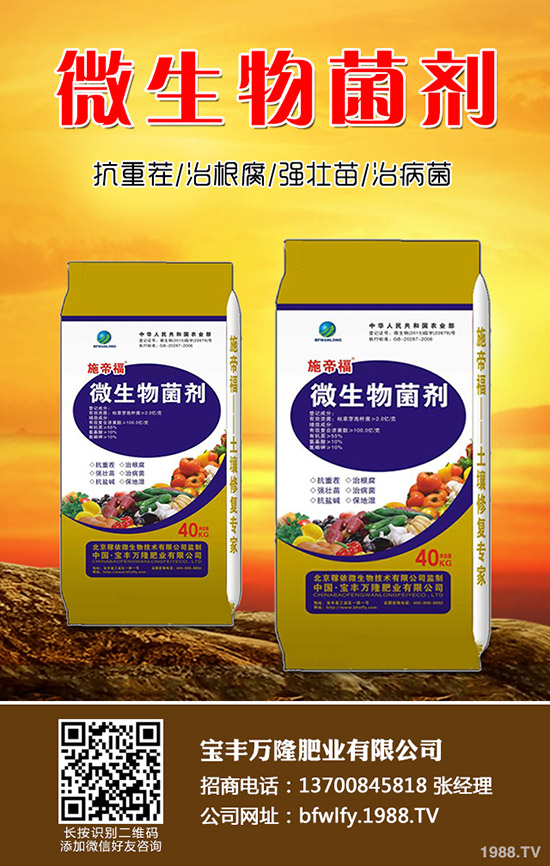 ���m���Nֲ��������Щ�����m���Nֲע�������