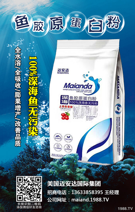     2020年香菇種植賺錢么？前景怎樣？種植品種推薦！