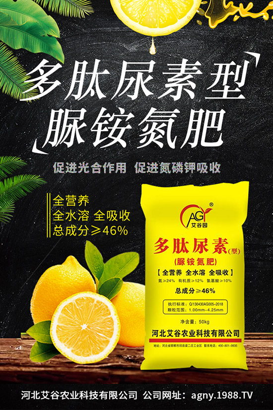 ɽˎ�Nֲ�r�g��ɽˎ�Nֲ���g�c�������