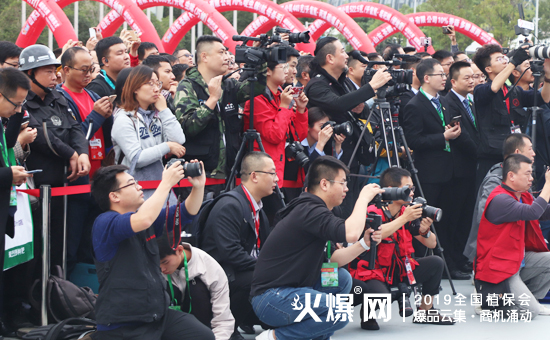 2019��35��ȫ��ֲ��������ʢ���_Ļ������ȼ��ȫ����