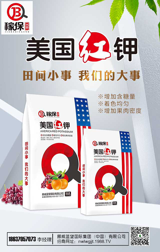 瑞香花養(yǎng)殖方法有哪些?瑞香花養(yǎng)殖注意事項!