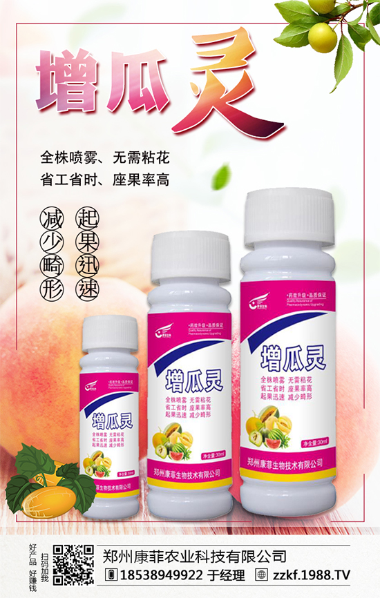 �����Ϲ���ô�Nֲ�������ϹϵķNֲ��Ҫ�c��