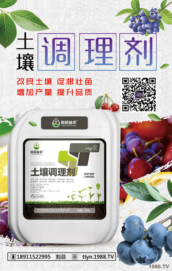 �L����������ô�B(y��ng)���L���������B(y��ng)ֳ����