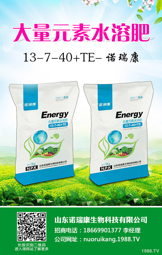 2020�����r(ji��)��������ô����ٍ�X(qi��n)�����Nֲ��e��(hu��)����ô��