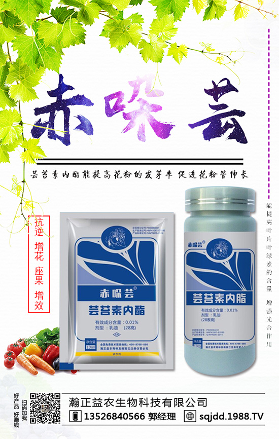 ���t����ʲô����������t��������ķ��η���