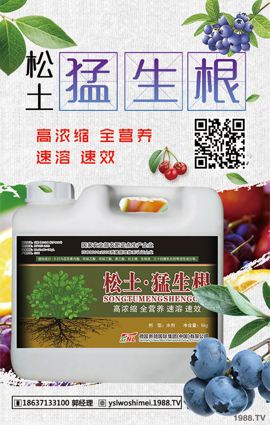 ��������Щ��Ч�����������ӵ�ʳ�ý�����