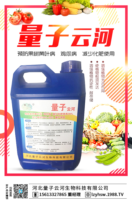 �ӱ������ƺ�����Ƽ����޹�˾3