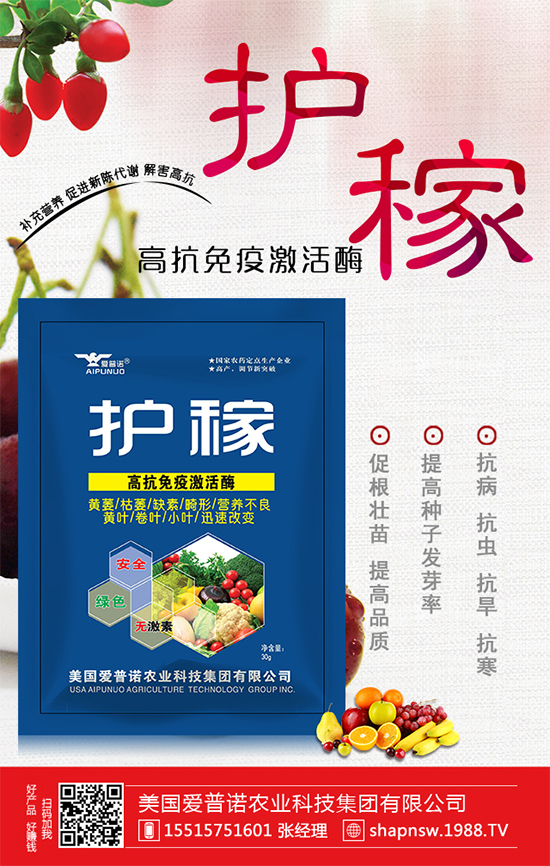 大蒜價格上漲原因有哪些？2020年大蒜價格行情預測！