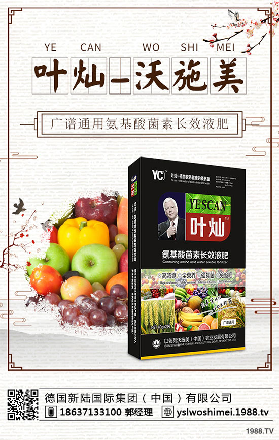 �������༾��(ji��)��ʲô�r�����˸߮a���g����Щ��