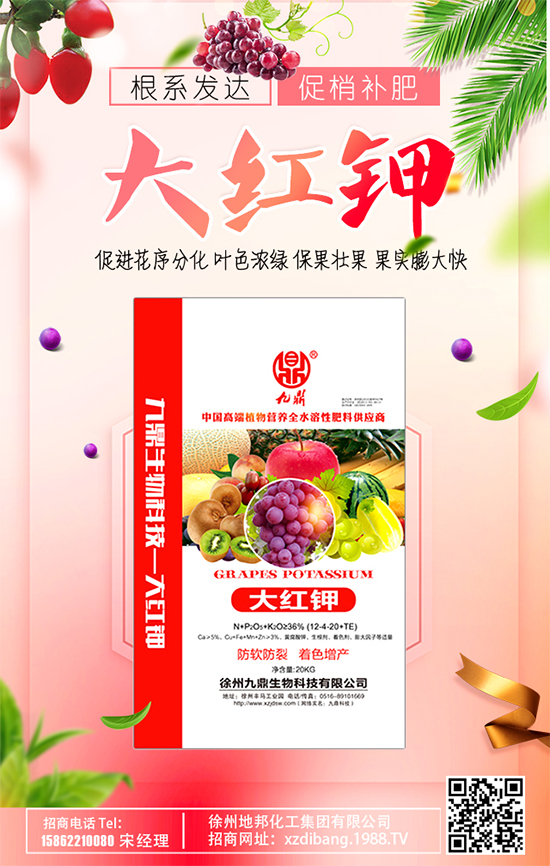 豆芽種植技術(shù)要點(diǎn)有哪些?豆芽有哪些功效作用?