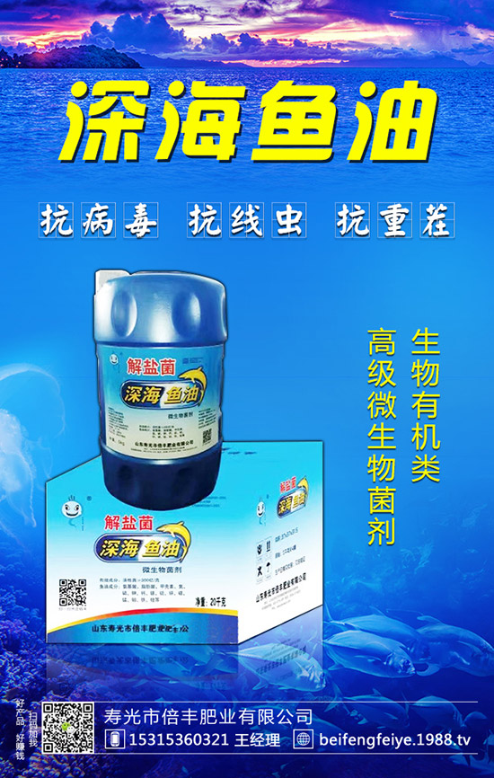 黑枸杞的種植方法,黑枸杞的種植前景