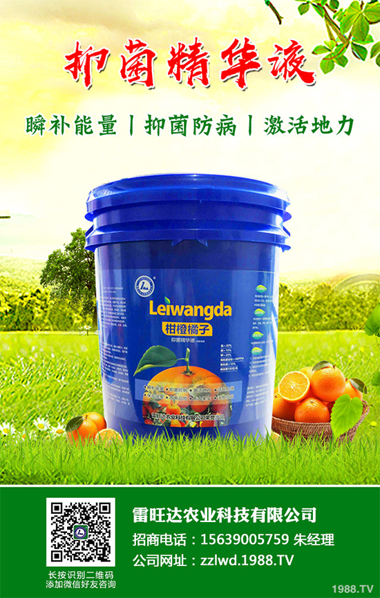 �L�ڵ͜ع��գ��߲��L�ݲ�ԓ��ν�Q�����������a(b��)��Ď��(xi��ng)��ʩ