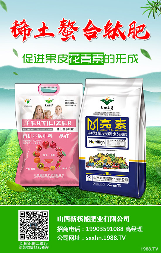     2019��11����Ѯ����������@�r(ji��)�������߄�(sh��)�C�Ϸ���