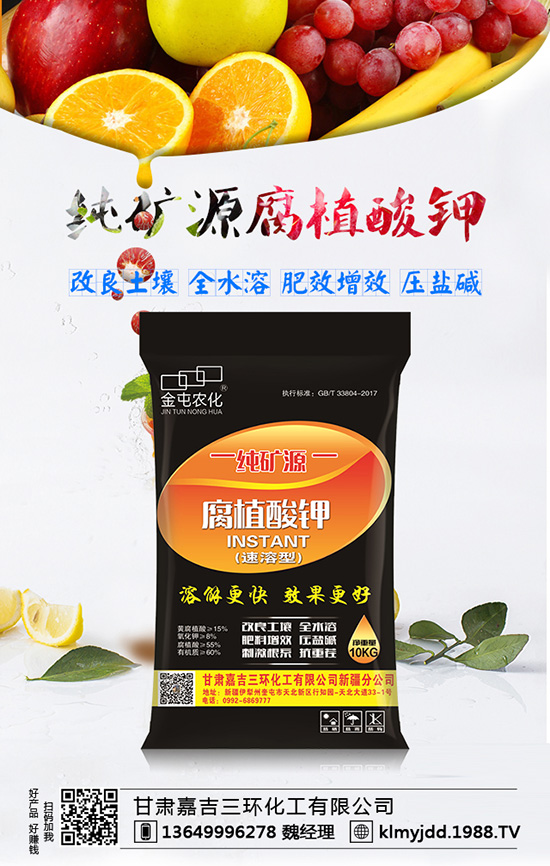 ɣ�طNֲǰ�� ɣ�طNֲ