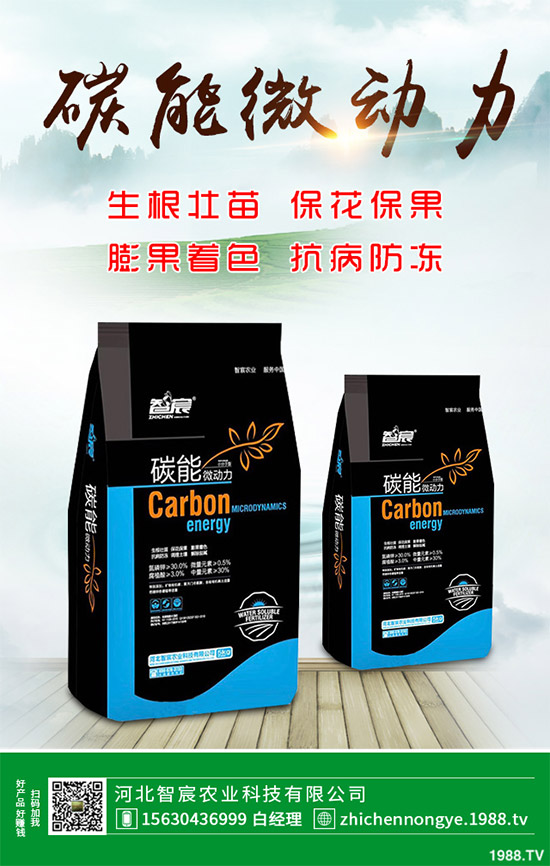 ħ��ԓ��ô�N��ħ��߮a(ch��n)�Nֲ��������