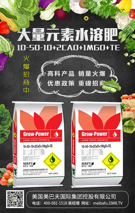 2020��Nֲʲô�߲˒��X�᣿2020��Nֲʲô�߲�ǰ������