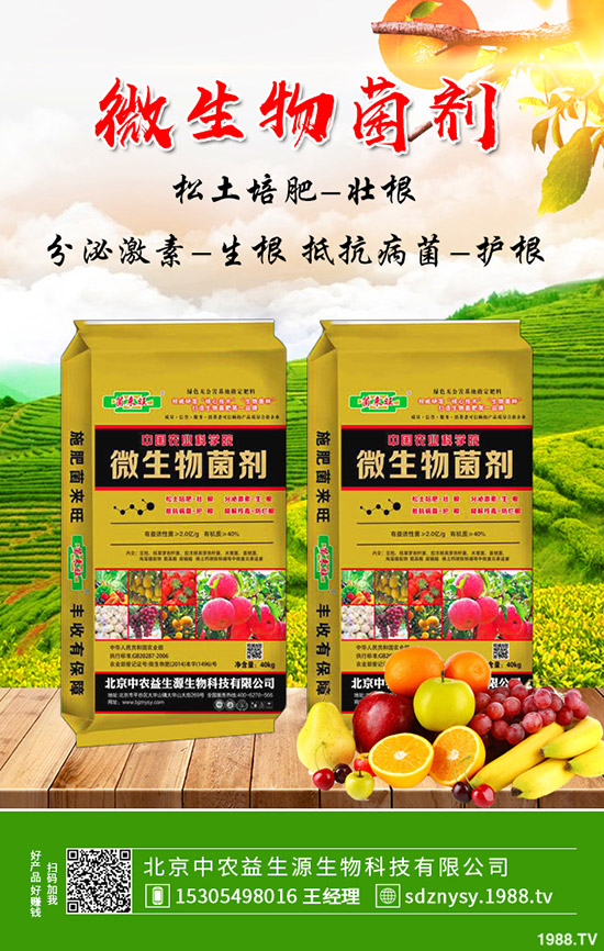     復(fù)合肥今年價(jià)格“保底”，2019-12-12最新行情走勢(shì)綜合分析！