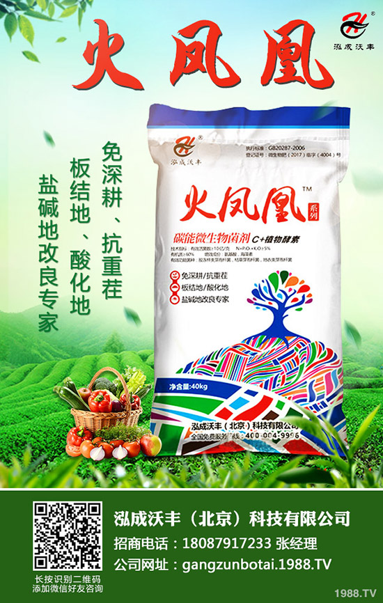     2020��Nֲ����ٍ�Xô��ǰ��������һ������Ͷ�Y��Ч�������