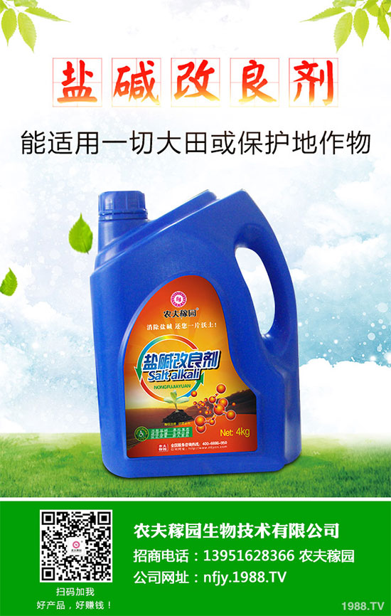 什么是蔓荊子？蔓荊子的功效作用及用法禁忌