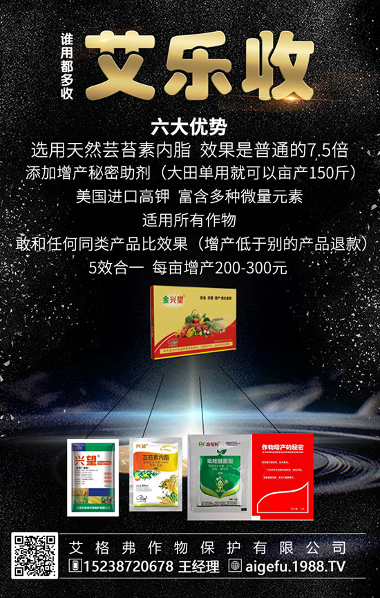 ⛷�С�������҂�һ����(l��i)������